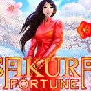 Sakura Fortune